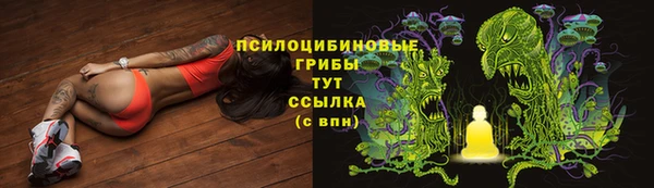 хмурый Покров